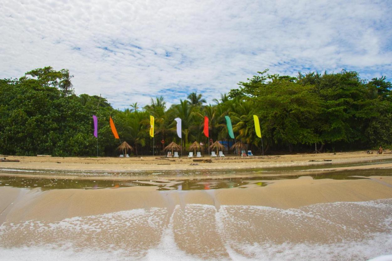 Playa 506 Beachfront Hostel Puerto Viejo de Talamanca 외부 사진