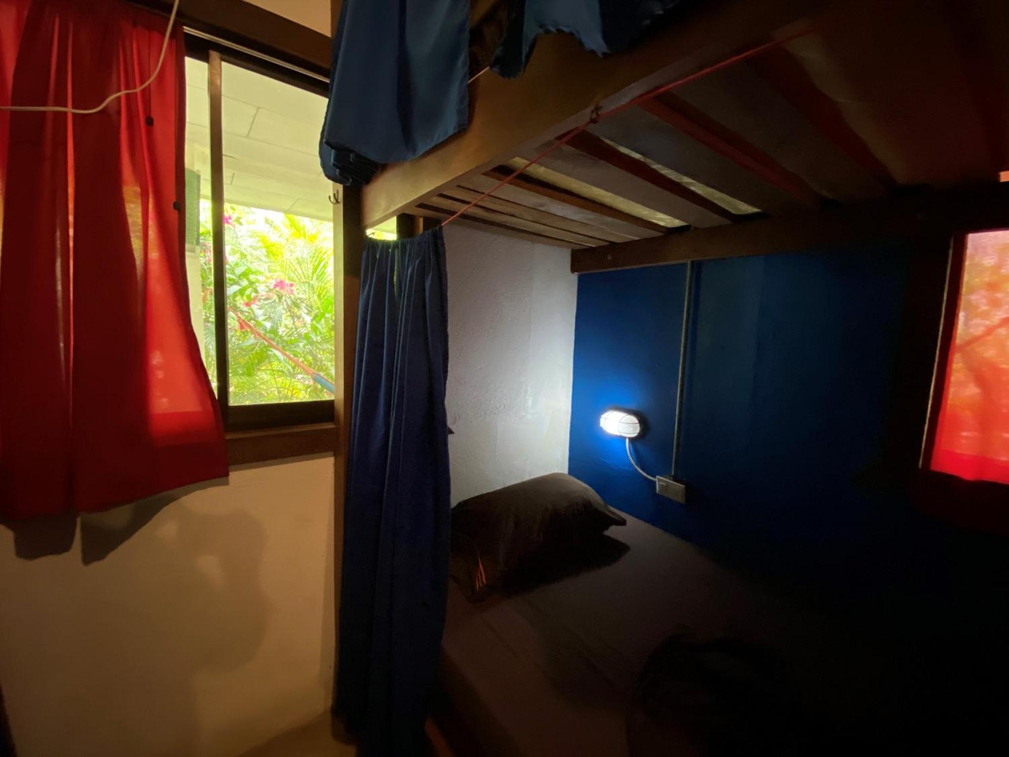 Playa 506 Beachfront Hostel Puerto Viejo de Talamanca 객실 사진