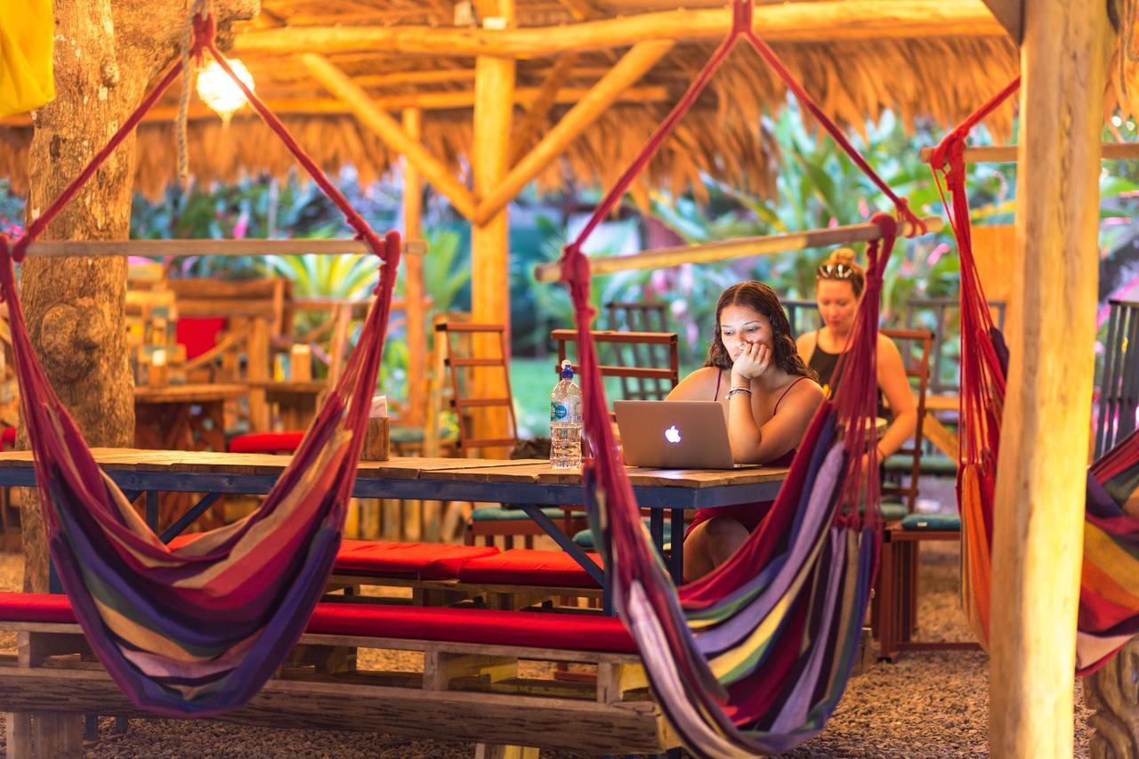Playa 506 Beachfront Hostel Puerto Viejo de Talamanca 외부 사진