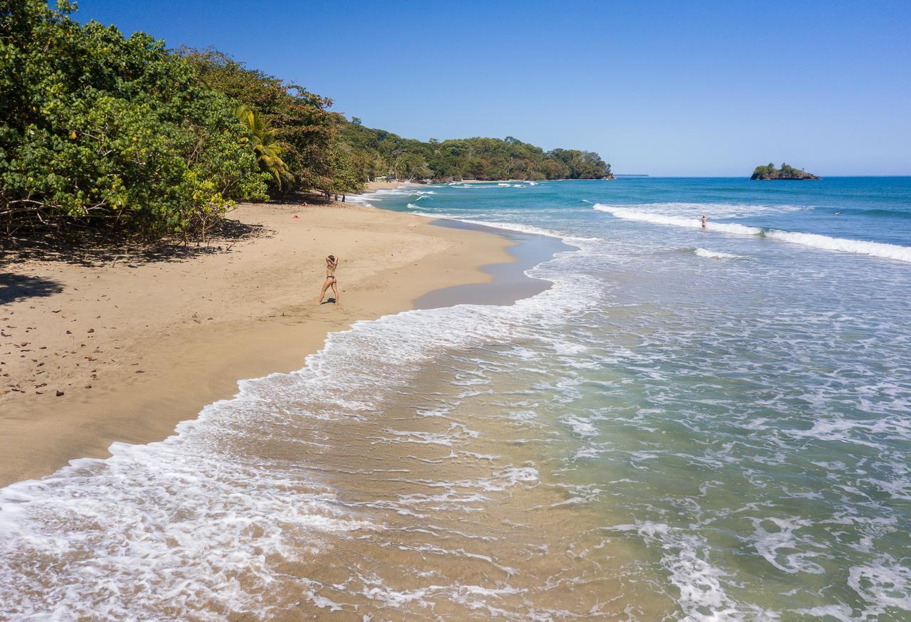 Playa 506 Beachfront Hostel Puerto Viejo de Talamanca 외부 사진
